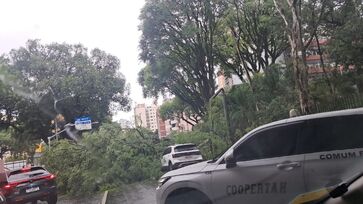 Árvore caiu, nesta tarde de terça-feira (9/12), sobre veículos na avenida 23 de Maio
