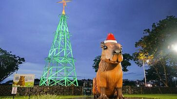 Levantamento aponta ainda que 49% dos consumidores devem realizar as compras em lojas f&iacute;sicas, seguidos por shopping centers