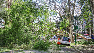 Reabertura aconteceu após uma reavaliação técnica, entretanto, algumas áreas do parque seguem interditadas
