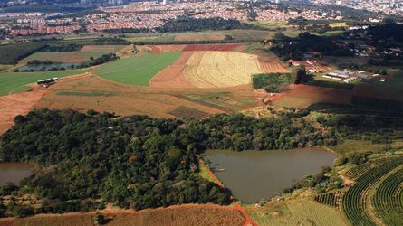 Fazenda Santa Elisa pertence ao Instituto Agronômico de Campinas  