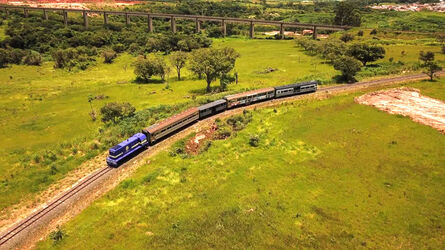Beer Train combina a degustação de cervejas artesanais com uma bela vista