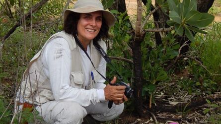 Giselda Durigan é formada em Engenharia Florestal pela Universidade de São Paulo (USP)