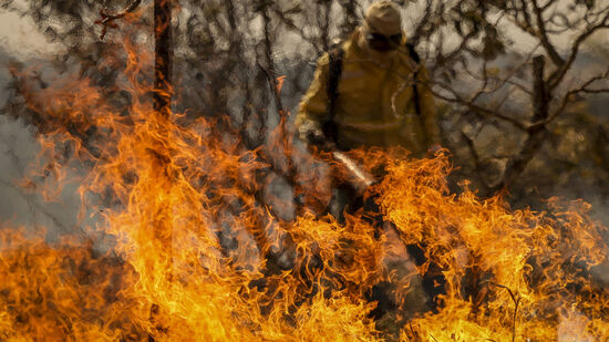 Avanço das queimadas pode aumentar em 6 °C a temperatura do Brasil