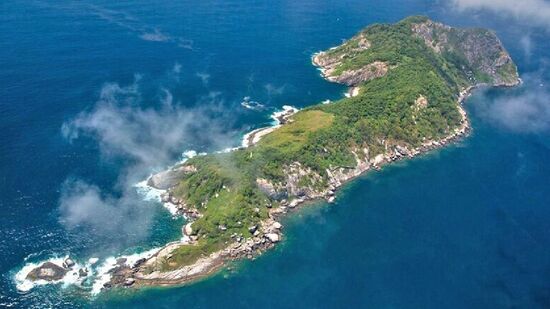 O litoral paulista abriga uma ilha que é considerada um dos lugares mais perigosos do mundo: a Ilha das Cobras