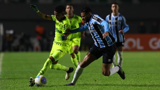 Palmeiras precisa da vitória para evitar título do Rubro-negro