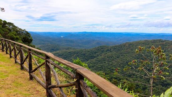 Para fugir da agitação do cotidiano e conhecer um local de natureza exuberante, Tapiraí, no coração da Mata Atlântica, pode ser o destino ideal.