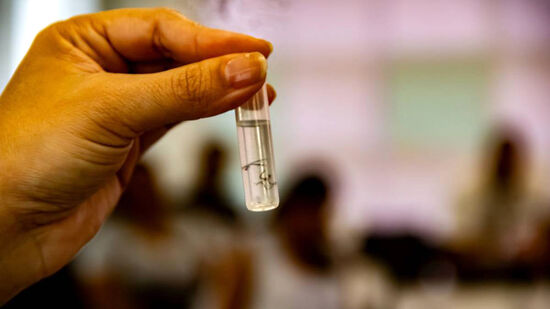 Vacina foi aprovada pela Anvisa após cinco anos de estudos