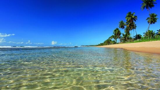 O litoral sul de Pernambuco, mais precisamente na cidade de Porto de Galinhas, abriga a praia de Muro Alto, que é considerada uma das 25 melhores praias do mundo