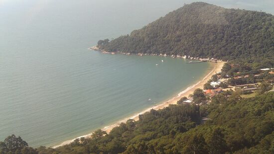 Litoral de Santa Catarina também sofre com acidificação.