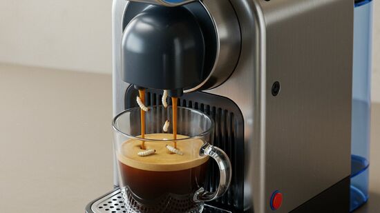 As larvas podem infestar as bebidas da cafeteira 