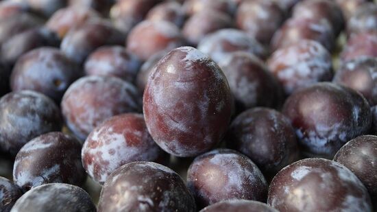 Considerada uma das primeiras frutas a ser domesticadas pelo ser humano, essa fruta tem origem na China e leste europeu