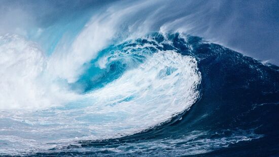 Camadas mais acima do oceano se tornaram mais habitadas por plânctons.