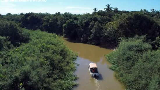 Com diferentes passeios, delta fluvial pode ser apresentada a todos os públicos