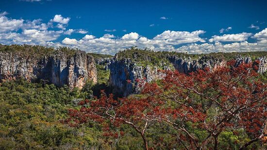 Caso o título seja concedido, o Parque Nacional das Cavernas do Peruaçu será o nono patrimônio natural brasileiro