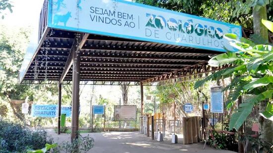 Evento gratuito aborda importância das cobras no ecossistema