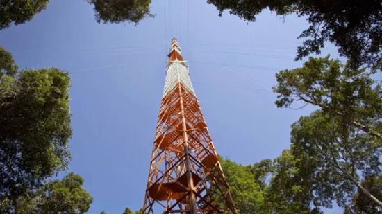 A ATTO fica no meio da Amazônia e possui 325 metros de altura 