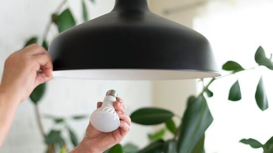 Conheça as cinco opções mais populares para substituir a luz no teto