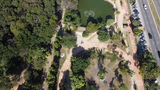 Bosque Maia é o maior parque urbano de Guarulhos e reúne lazer, trilhas e eventos culturais