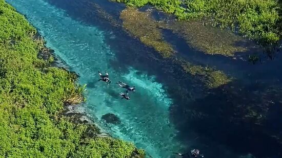 Águas cristalinas do Rio Sucuri oferecem cenário ideal para flutuação guiada
