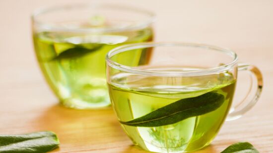 O chá-verde concentra catequinas que auxiliam o metabolismo e a saúde do fígado