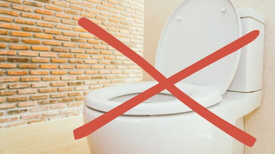 A escolha entre um e outro tipo de vaso depende do ambiente, das condições de higiene e das necessidades de cada pessoa, refletindo uma tradição milenar que segue viva em tempos modernos.