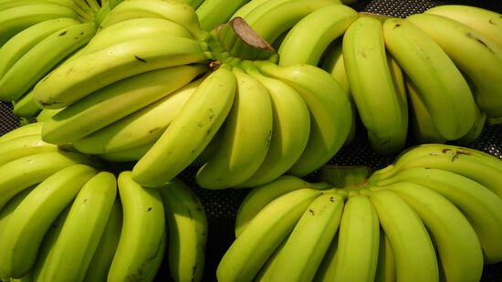 A cidade é destaque na produção nacional de banana