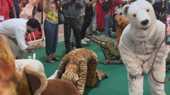 Grupo se apresentou na abertura da COP30 e se chama Bicharada do Juaba, da cidade de Cametá