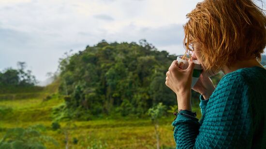 Estudos mostram que até 10 minutos de contato com a natureza já reduzem estresse e melhoram o humor