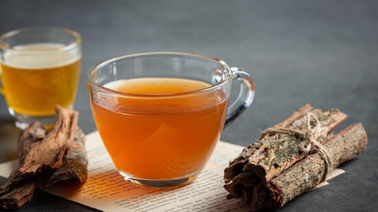 Usada há séculos na medicina popular, a planta mulungu voltou a chamar atenção por seu poder relaxante e benefícios para o sono.