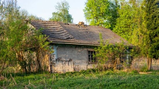 Decisão judicial divide opinião pública e gera repercussão internacional.