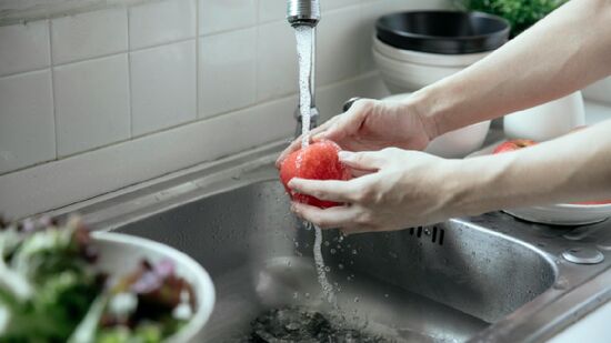 Bactérias como E.coli e Salmonella se escondem em frutas não lavadas