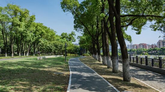 Cidades com mais áreas verdes registram quedas significativas na temperatura média anual