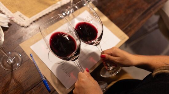 Proposta difere de visita turística tradicional ou de clubes de assinatura de vinhos