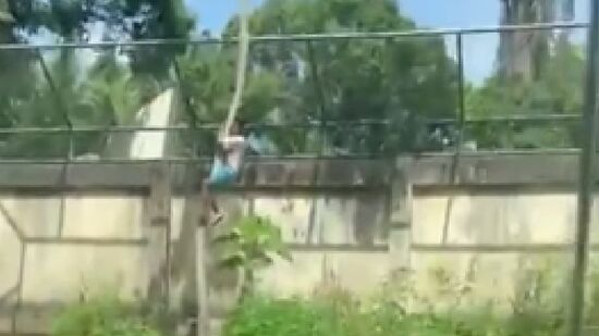 Caso aconteceu no Parque Zoobotânico Arruda Câmara, a Bica, em João Pessoa