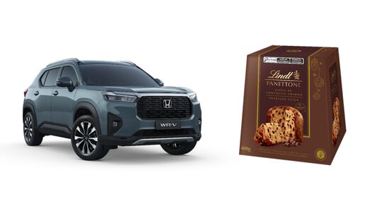 Plaza Sul Shopping terá uma estufa interativa, trenzinho temático, fonte dos desejos, espaços instagramáveis e o trono do Papai Noel