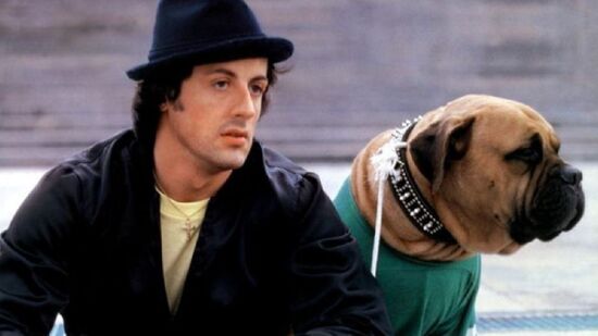 Ator voltou a interpretar seu personagem de sucesso com a franquia Creed