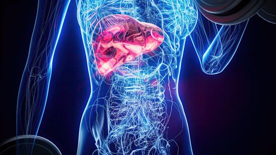 Esses alimentos podem te salvar de ter gordura no fígado