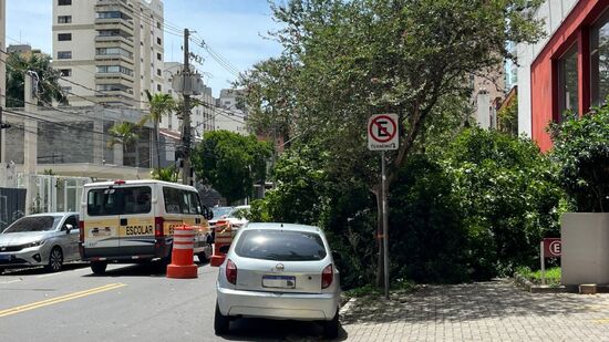 Corpo de Bombeiros recebeu nesta manhã 514 chamados para queda de árvores