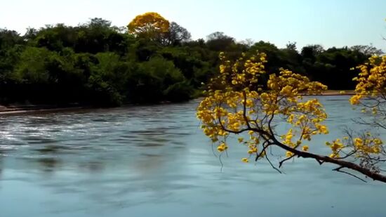 Abrigo de águas termais de destaque, Caldas Novas se tornou uma das melhores escolhas para férias em grupo