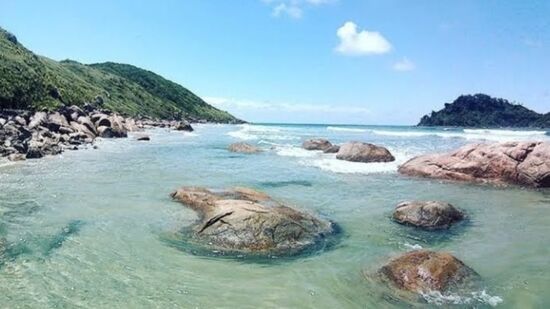 Com pouco mais de 12,5 mil habitantes, segundo o IBGE de 2020, Cananéia é uma estância turística pequena em população, mas gigante em biodiversidade.