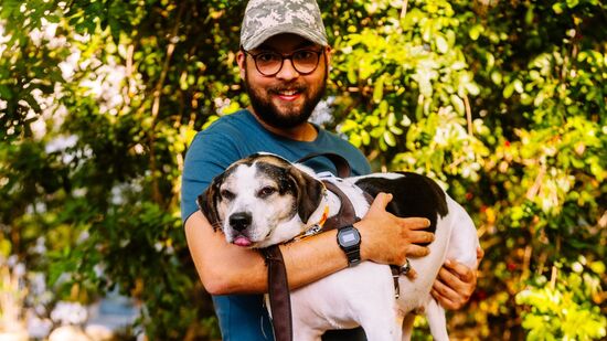 Animais idosos costumam ter temperamento estável e tendem a fazer menos bagunça