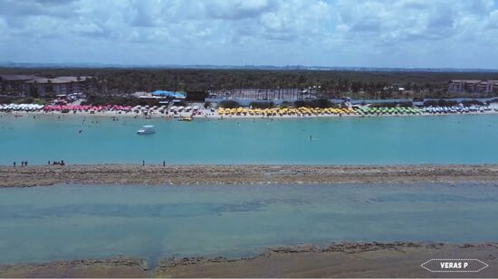 Entre arrecifes e &aacute;guas calmas, praia em Pernambuco vira ref&uacute;gio paradis&iacute;aco