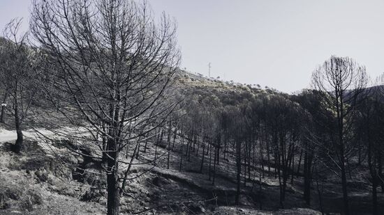 Urupema, em Santa Catarina, é a cidade mais fria do Brasil durante o inverno