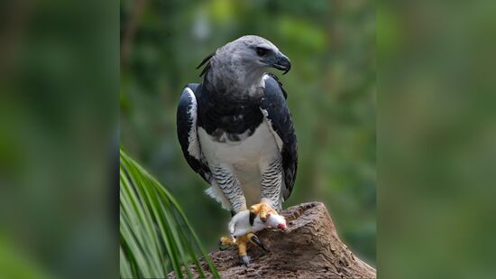 Um registro desse tipo costuma virar ponto de partida para ações bem objetivas