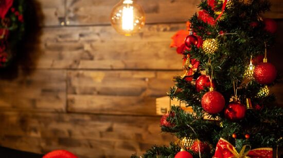 Complexo também montou uma árvore de nove metros e mais de uma dezena de atrações interativas