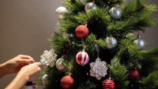Parque Fazenda Engenho D'Água foi completamente transformado com decoração e iluminação temáticas