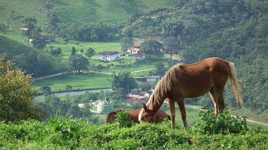 Região possui ruas charmosas, natureza exuberante e atrações ao ar livre durante todo o ano