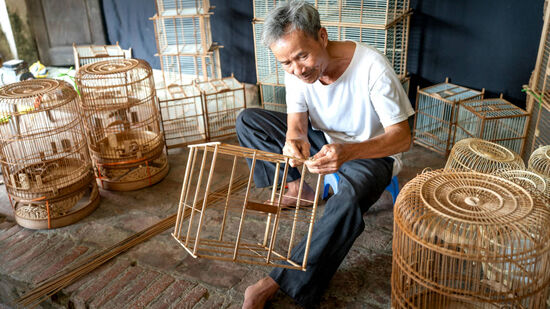 Conheça carreiras que exigem menos esforço físico e aproveitam o conhecimento acumulado ao longo da vida.