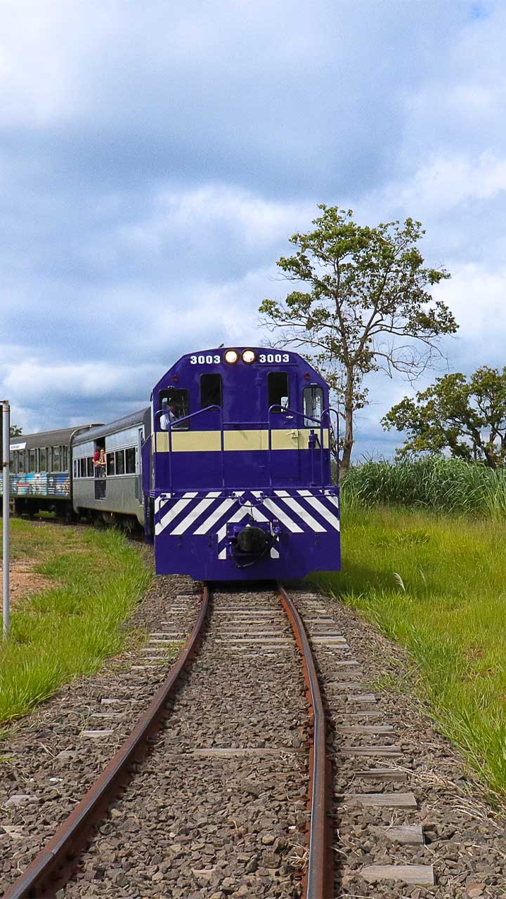 Trem da República