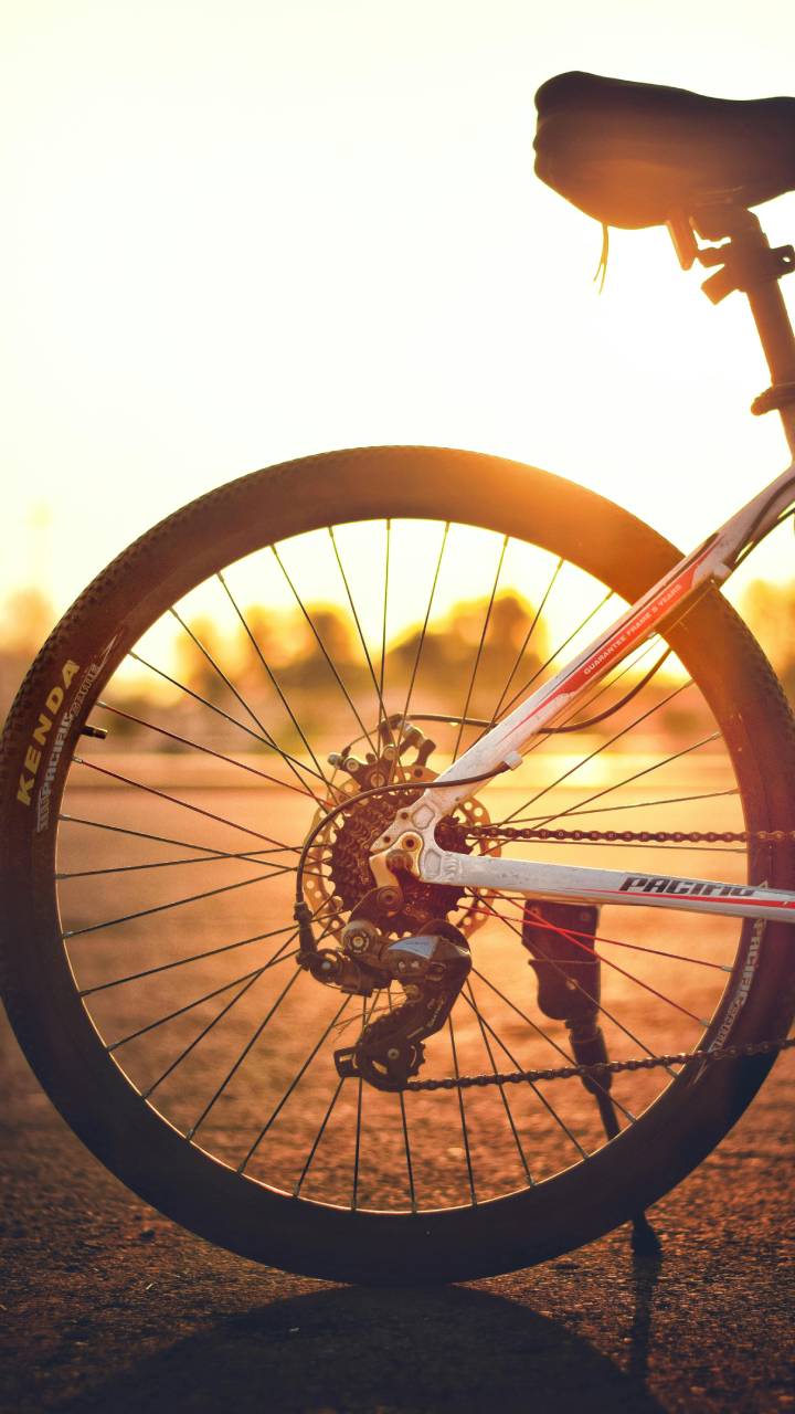 Aproximadamente 60% da população utiliza a bicicleta como principal forma de locomoção